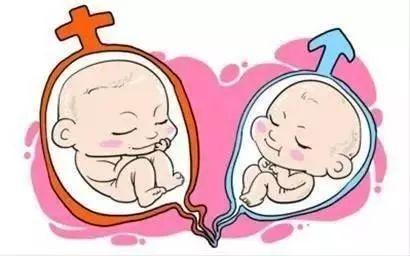 关于供卵代孕咨询公司